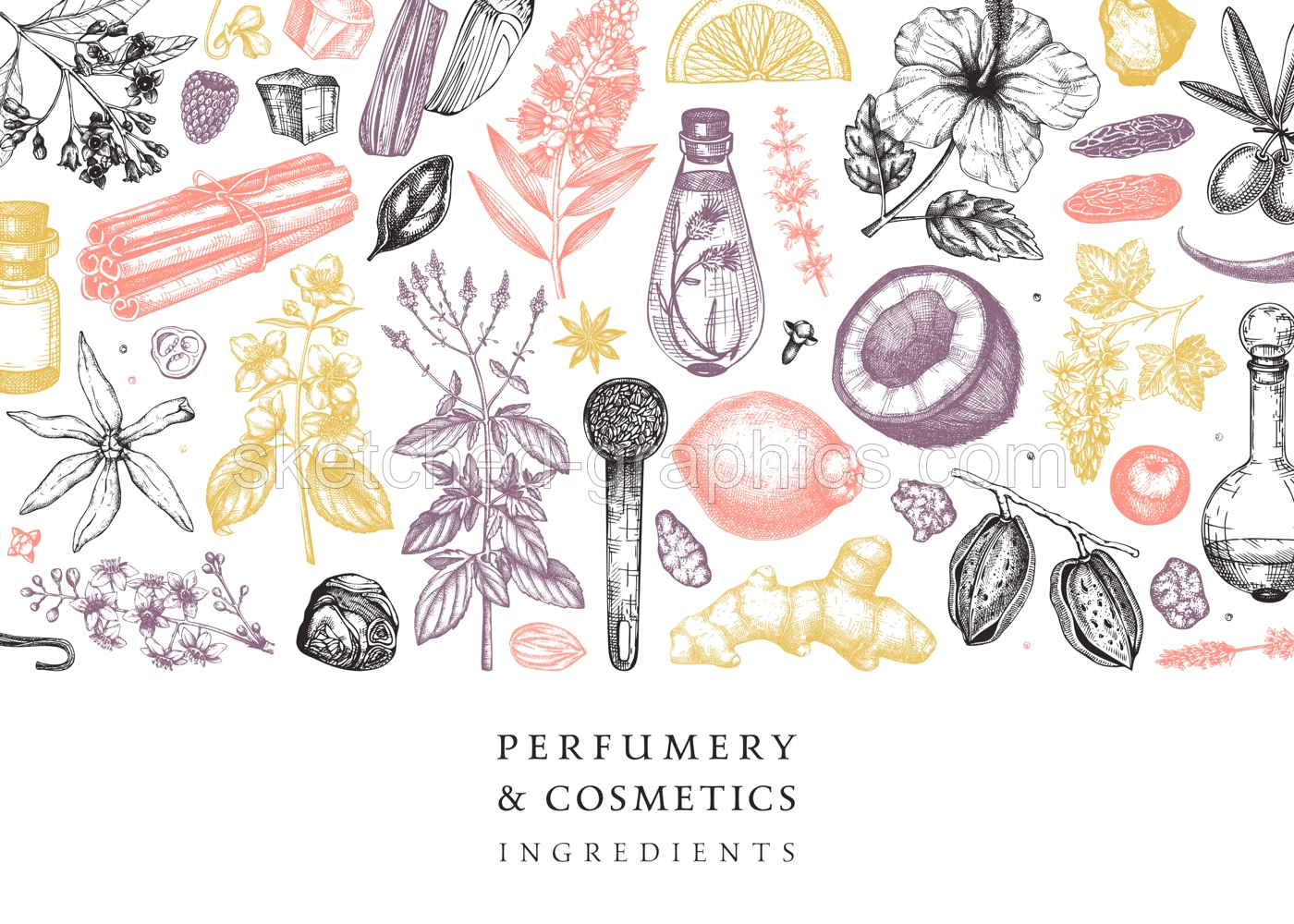Aromatic plants background. Perfumery ingredients banner. Flower, fruit, spice, herb sketches. Hand drawn vector illustration. Cosmetics packaging design template.  Illustration